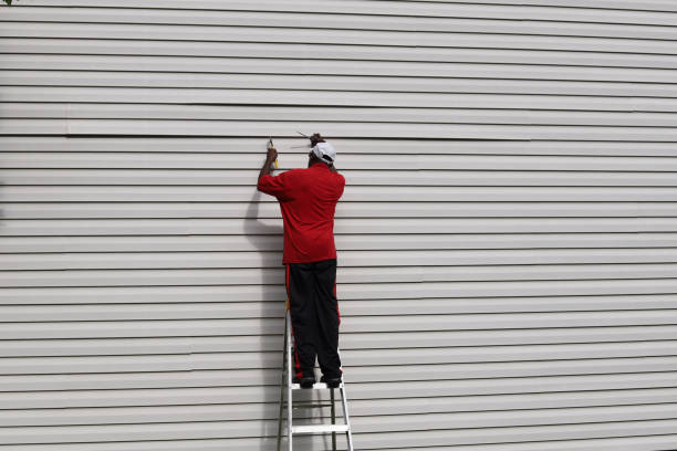 Best Residential Vinyl Siding Installation  in Lavallette, NJ