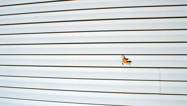 Best Historical Building Siding Restoration  in Lavallette, NJ