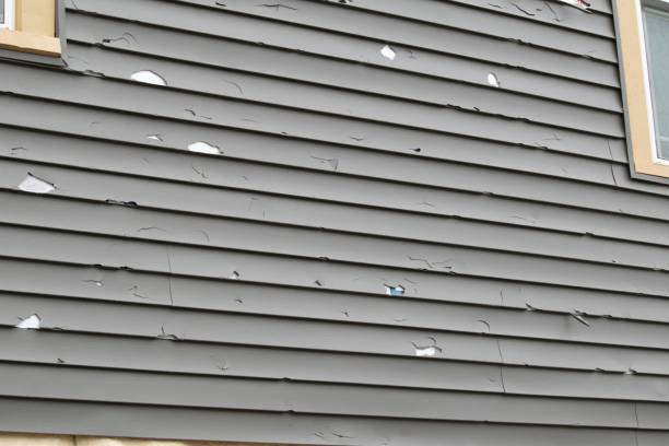 Best Brick Veneer Siding  in Lavallette, NJ
