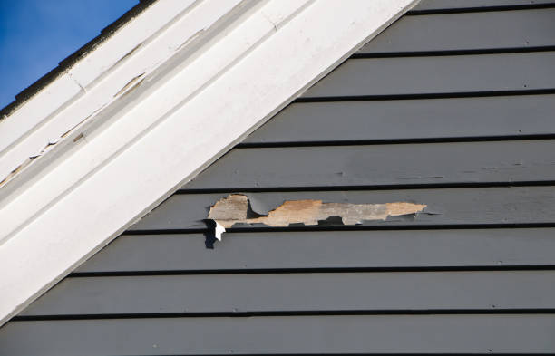 Storm Damage Siding Repair in Lavallette, NJ