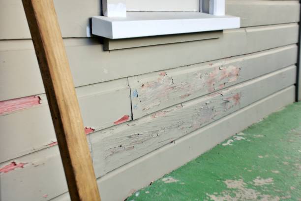 Best Fiber Cement Siding Installation  in Lavallette, NJ