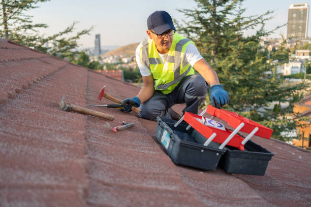 Best Siding Painting and Refinishing  in Lavallette, NJ