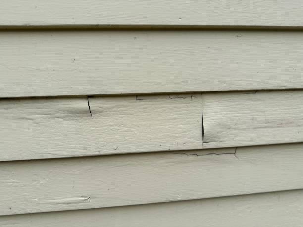 Best Residential Vinyl Siding Installation  in Lavallette, NJ